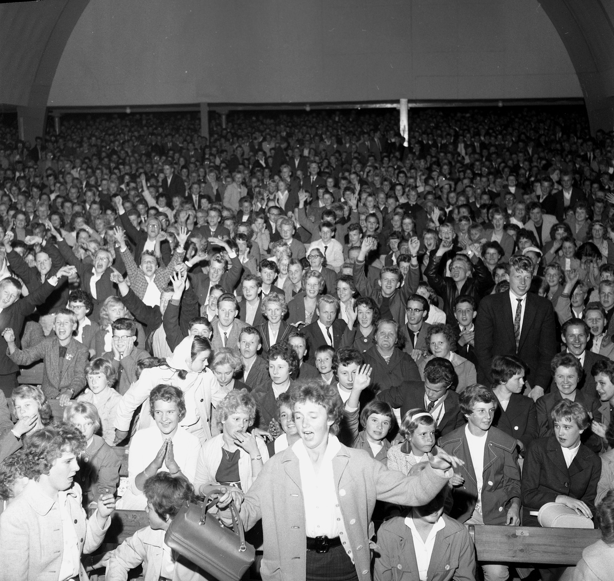 Rockgala i Folkets park.
8 september 1958.