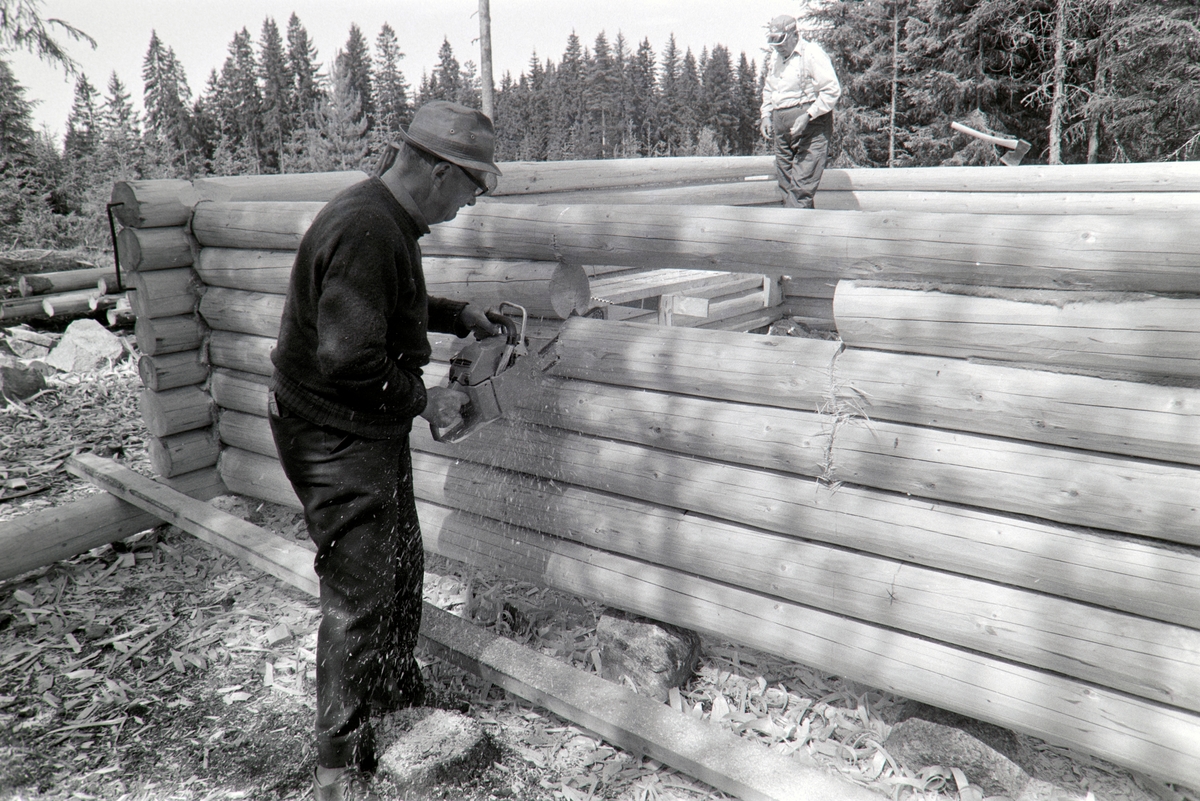 Lafting av skogskoie i A. Brettens skog i Romedal, Stange. T. v, skogseier og byggherre, Arne Bretten med motorsag, t. h. tømrer Nikolai Westby.