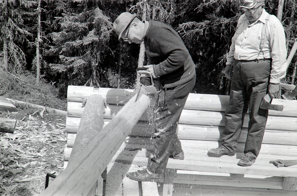 Lafting av skogskoie i A. Brettens skog i Romedal, Stange. Skogseier og byggherre Arne Bretten med motorsag, t. h. tømrer Nikolai Westby.