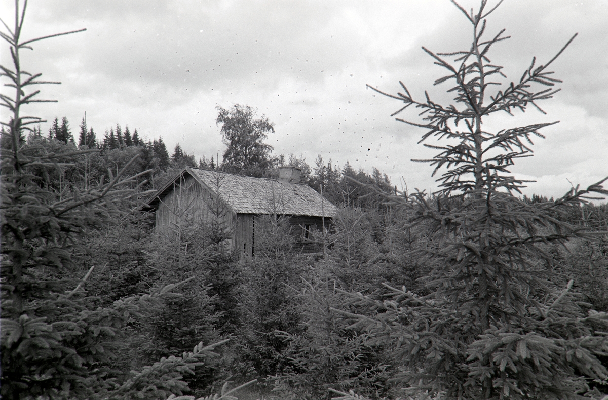 Notlia, Grue, Finnskog.