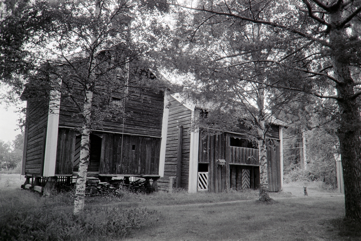 Eid, vestre, Våler, Hedmark, 1974.