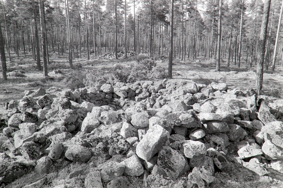 Røyser, nord for Skasenden, Grue, Finnskog.