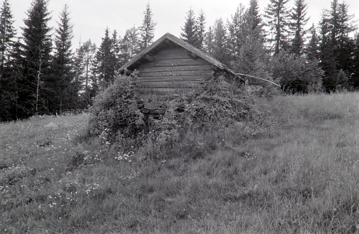 Sollien, vestre, Grue Finnskog, Solør.