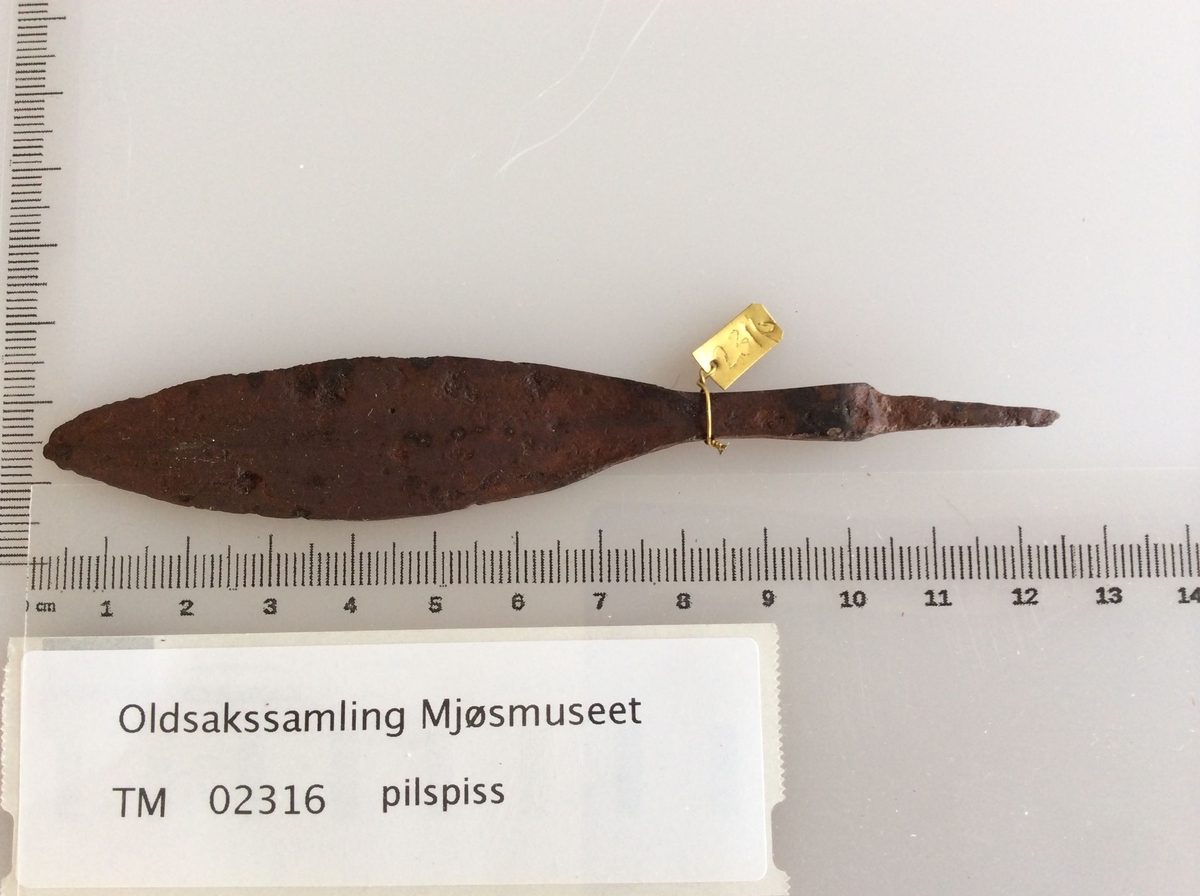 Pilspiss av jern