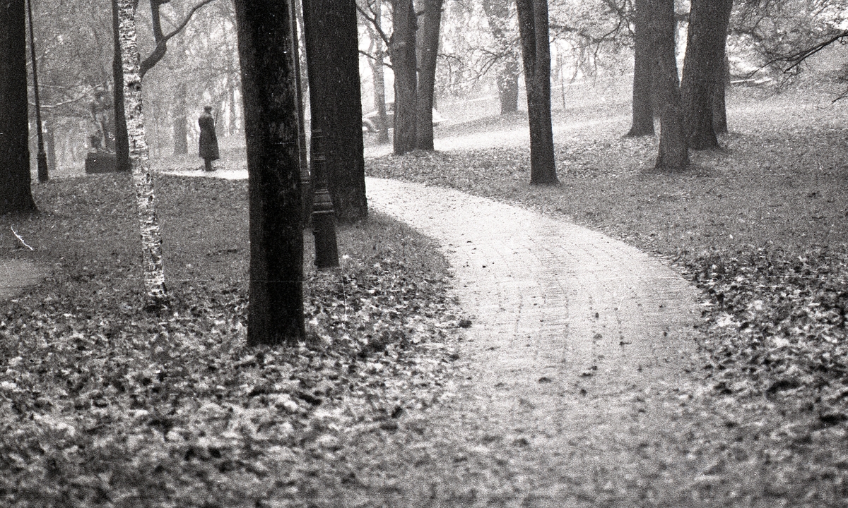 Slottsparken, Uppsala 1961