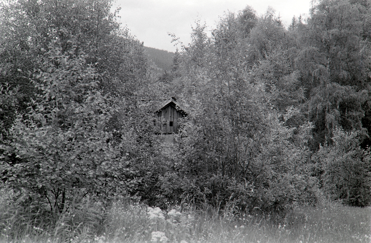 Trysil Bygdetun.