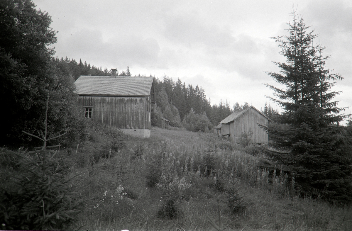 Larstorpet, Grue Finnskog, Solør.