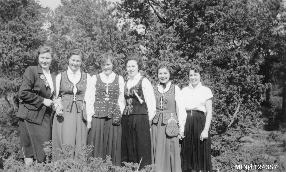 Venninner på 17. mai-feiring. 
Frav: Marit Brendryen f. 1938, Eldbjørg Nyhus, Marie Dalslåen, Snøfrid Sæteren, Aud Hildur Dahlen f. 1938, Hilda Eide f. 1938. 