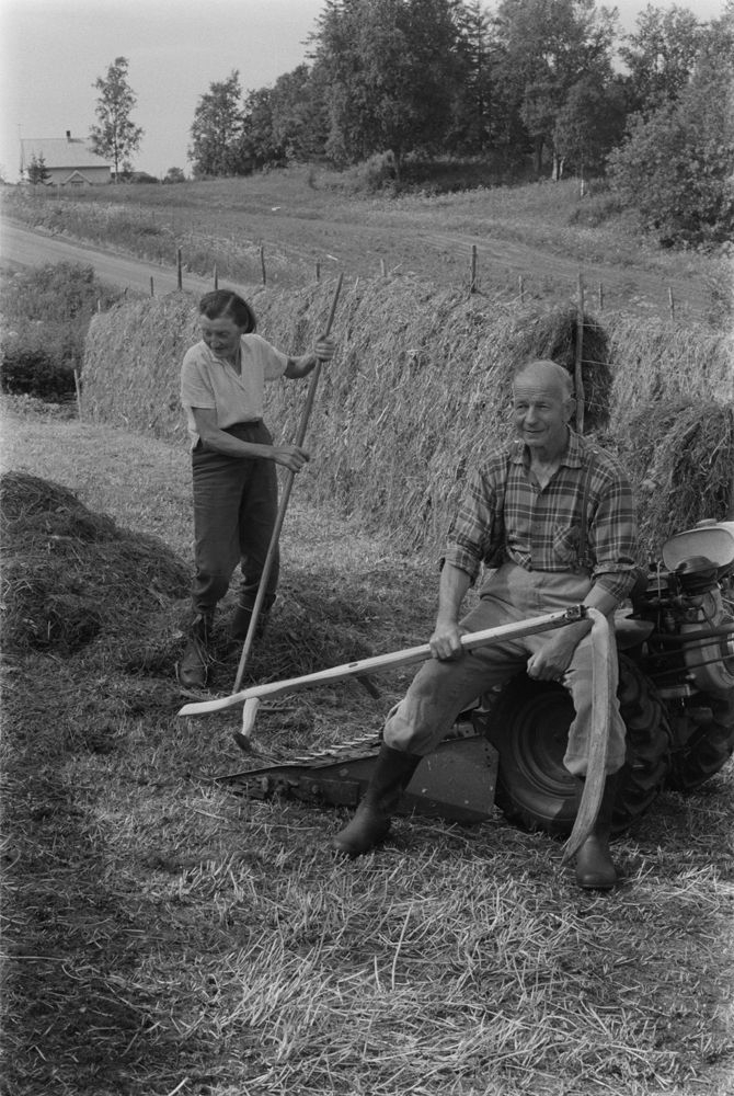 Leirfjord, Kjærstad. Ane Sjøberg og Olaf Kjærstad driver med slåttonn, hesjing.
Bildet fra Helgeland Arbeiderblad sin sommerpatrulje.
Finnes også som VBH.F.2011-010-00026