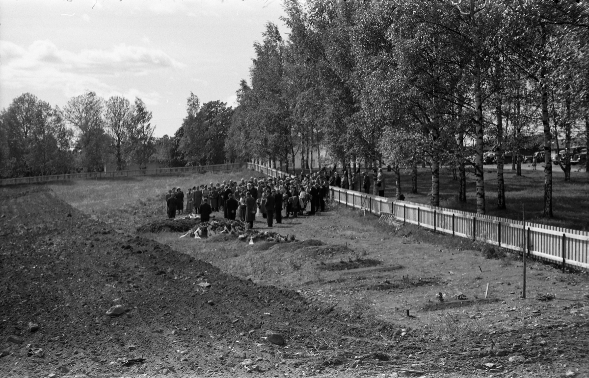 Begravelse ved Hoff kirke juni 1955. Serie på 9 bilder, der de første viser prosesjonen fra gravkapellet il grava, de øvrige ved grava. Ifølge informmant er dette begravelsen etter Ludvig Madshus som var kjøpmann i Lillo. Foraan prosesjonen går presten, som trolig er Finn Sommer, og kirketjener Pål Rødset. Nærmest bak kista trolig Ludvigs hustru Helga født Hagen, og deres to sønner Johan Ludvig (i midten) og Olav. De øvrige er ukjente.