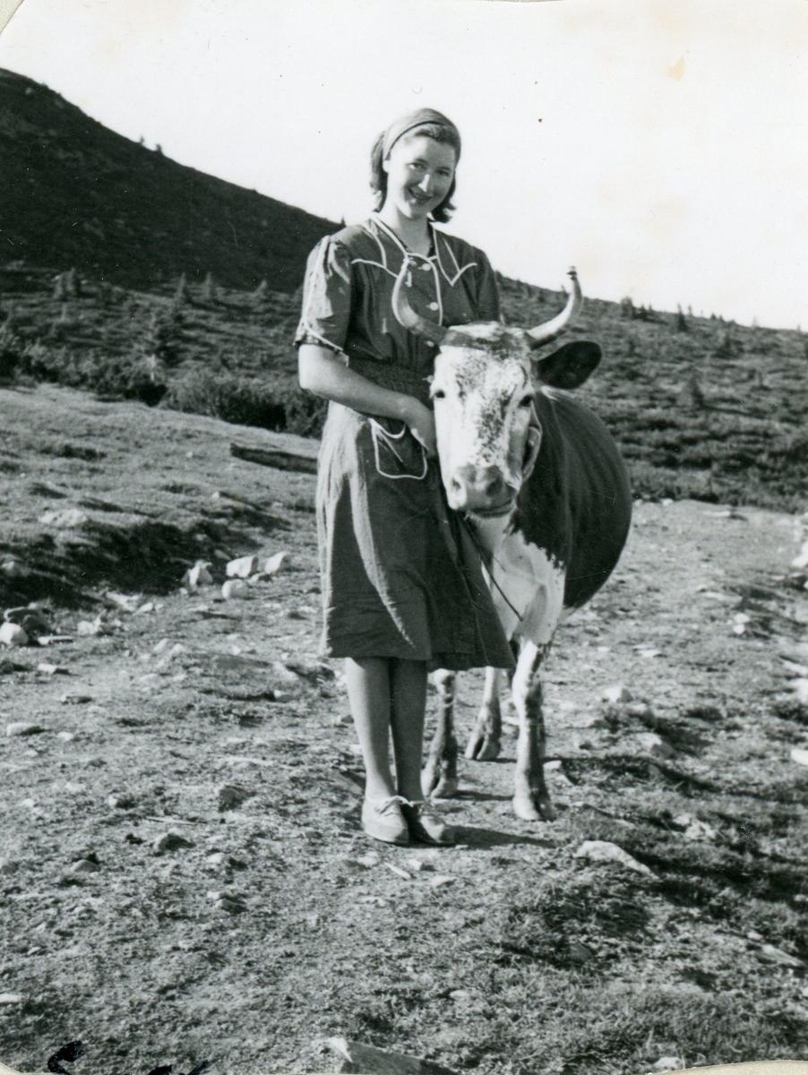 Barbo Kristine Eikrehagen på stølen med kua Gullmøy.