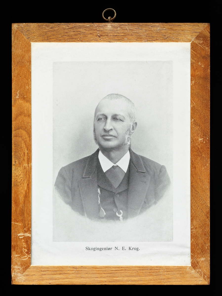 Trykt gjengivelse av fotografisk portrett av den norske forstmannen Nicolai Endresen Krog (1838-1907).  Krog er fotografert sittende i et fotografisk studio.  Han var kledd i mørk dress med vest (med klokkekjede) og kvit skjorte.  Da dette fotografiet ble tatt var Krog en middelaldrende mann med kinnskjegg og kortklipt, grått hår.  Nilcolai Endresen Krog var prestesønn, født i Stavanger, men gikk realskole på Ringerike og tok eksamen artium i Kristiania.  Deretter gikk Krog skogskole i Lantherthal i Harz, før han kunne immatrikuleres som student ved det anerkjente forstakademiet i Tharandt.  Da Krog etter å ha avlagt eksamen der kom tilbake til Norge, ble han ansatt som forstassistent i Valdres, som inngikk i embetsdistriktet til forstmester Jacob Bøckmann Barth.  I 1886 ble han forflyttet til Bergen, der han var forstassistent under forstmester Andreas Tandberg Gløersen.  Fra 1889 var han «skogingeniør» med bopæl i Kristiania.  Skogingeniøren var en slags skogreisingsleder.  Dette var altså en posisjon der Krog fikk nyttiggjort seg erfaringene fra samarbeidet med Gløersen på Vestlandet.  Han foretok også studiereiser til Sverige og Finland for å se hvordan man arbeidet med «skogsaken» i disse nabolandene.  Nicolai Endresen Krog var også mangeårig styremedlem, og en periode også formann, i Den norske forstforening.  Hans faglige forfatterskap besto av artikler om skogkultur og skogbrannforebygging. 