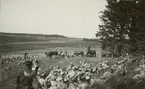 Landstormens lägerkurs i Strängnäs 12-21.6.1931.