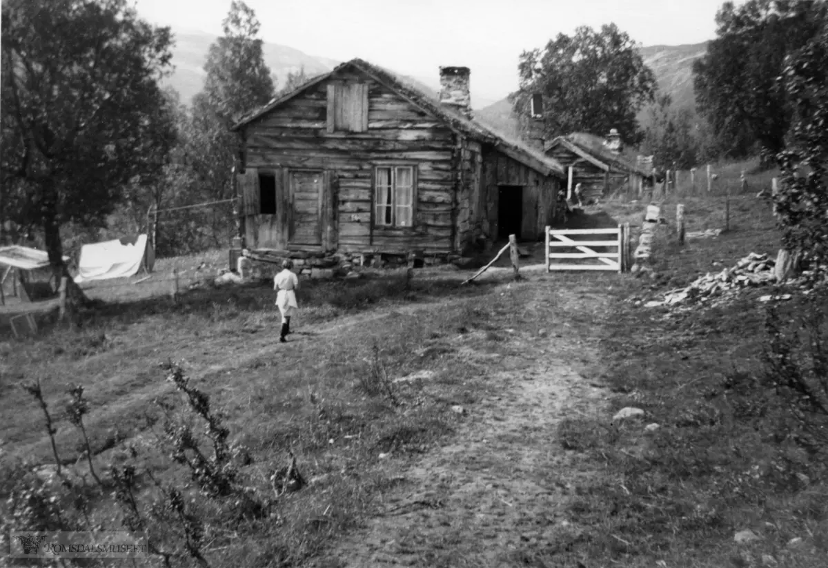 På Tungen. .Paul Brudeli setret her i 11 år 1940-1951..I 1953 eller 1954 ble selet revet og ført opp igjen noe lengre opp som hytte for en franskmann. Paul Brudeli og Johan Rødstøl utførte arbeidet..Franskmannens hytte brant i 1971..Selet i bakgrunnen er Rødalselet.