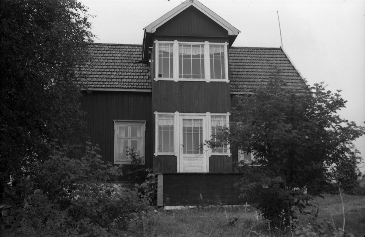 Fem bilder fra Aasen under Løsengen i Gamle Rossgutua på Skreia høsten 1955. Kvinnen på det første bildet er Borghild Løsengen (f.Johannesdtr. Nordrum) som var gift med Albert Anton Løsengen. Hun finnes også på to av de andre bildene, da sammen med eldste dattera Eva Aasen og Karl Skjelstad. Stedet ble bygd opp i 1922.