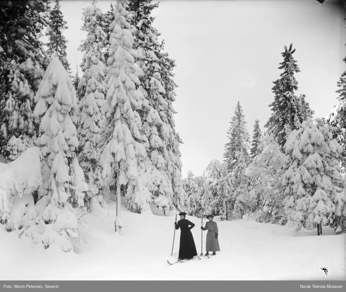 Frognerseteren,  vinter, snødekte trær, to kvinnelige skiløpere