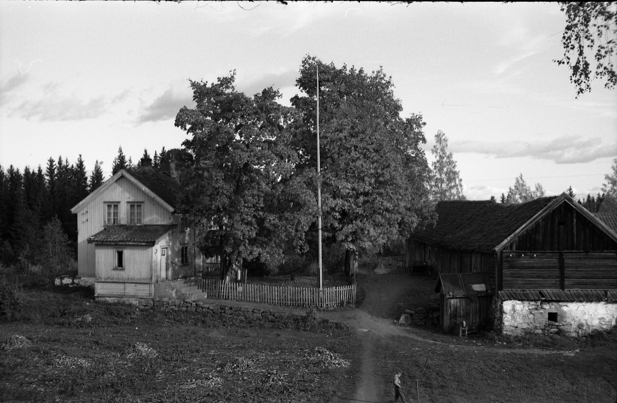 Seks bilder fra gården Gimle på Krabyskogen, Østre Toten, høsten 1955.