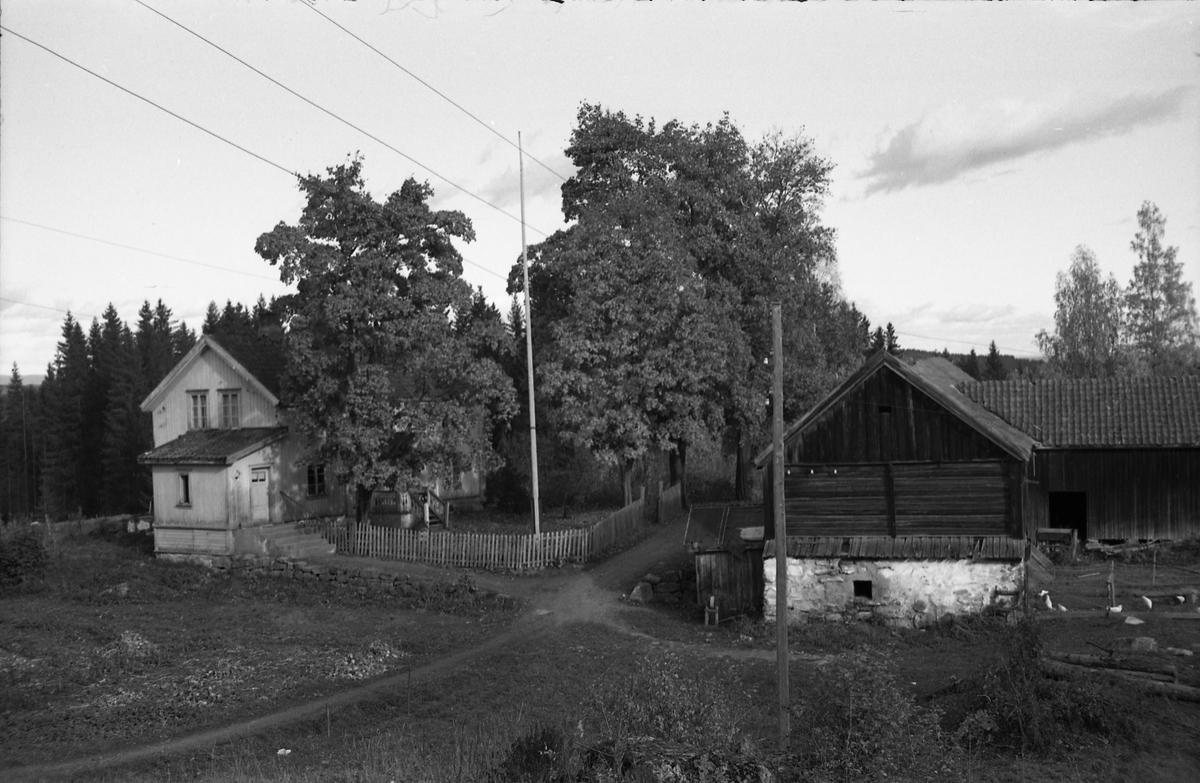 Seks bilder fra gården Gimle på Krabyskogen, Østre Toten, høsten 1955.