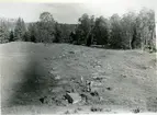 Badelunda sn, Anundshögsområdet, Långby.
Vid förundersökningen för skeppssättningarnas renovering, 1932.