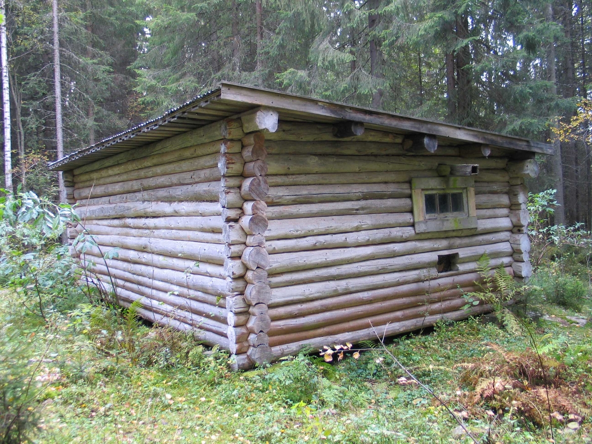 Stall, skogskoie