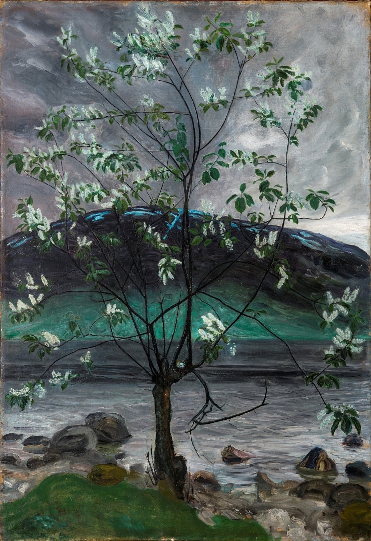 Kald vårnatt og hegg [Maleri]