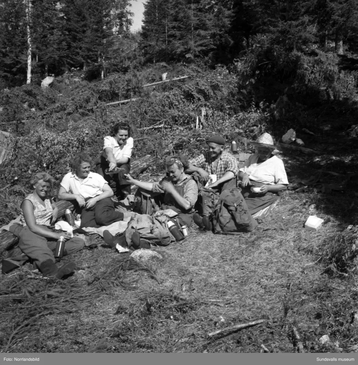 Skogsarbetande fru i Johannisberg, Ljungaverk.