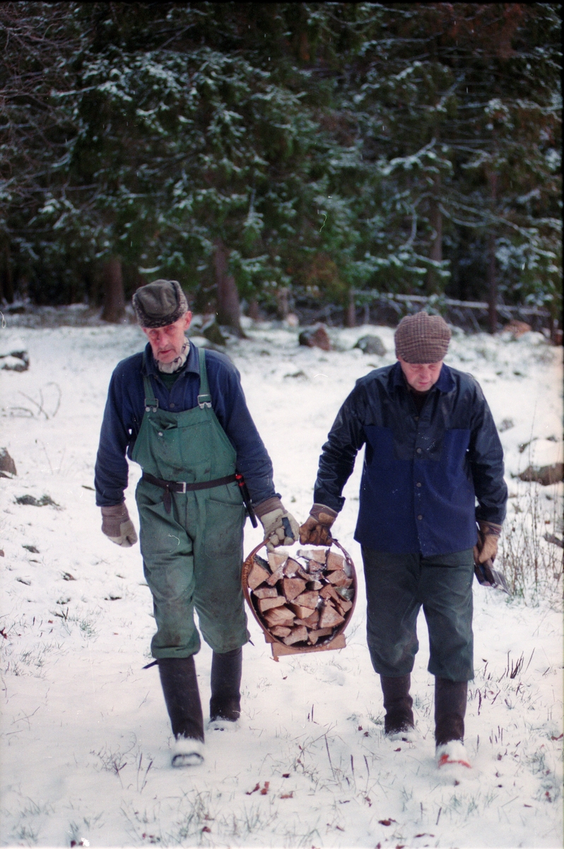 Lantbrukare Arvid och Birger Mattsson bär in ved, Lönnholmen, Gräsö socken, Uppland 1994 - 1995