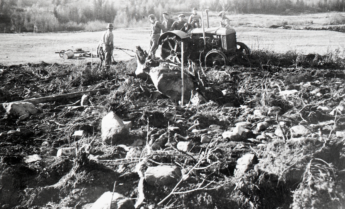 Nydyrking på garden Jonsrud i Volbu ca. 1939.