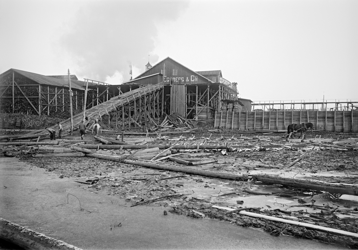 Egebergsbruket på Lillestrøm i Skedsmo i Akershus.  Sagbruket er fotografert fra Nitelvas nordbredd, der bruket hadde sitt tømmerinntak.  Bildet viser kjerraten - et skråplan med et endeløst, roterende kjettingbelte - som trakk tømmerstokkene opp i saghuset.  Da dette fotografiet ble tatt arbeidet et par karer med fløterhaker, som de brukte til å trekke stokker inn på kjerraten.  Videre ser vi et par hester later til å ha blitt brukt til å samle stokker som ble liggende på tørr grunn i strandsonen da vannstanden sank etter foregående vårflom.  I bakgrunnen ser vi gavlen på saghuset, med eierfirmaets navn påmalt.  Over takflata skimtes et tårn, antakelig et overbygg over fabrikklokka, som signaliserte når arbeidstida startet og sluttet. 

Kort historikk om «Egeberg Brug» på Lillestrøm finnes under fanen «Opplysninger». 