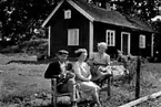 FAMILJEN KARL SCHÖNBORG SITTANDE FRAMFÖR BOSTADSHUSET.                                       
MANNEN HAR TRE RÄVUNGAR I KNÄT.