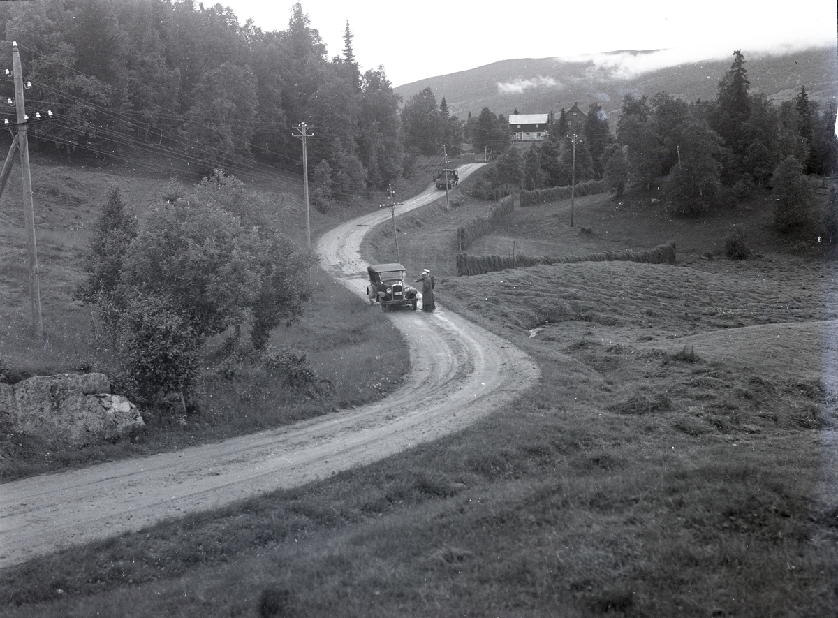 Foto av: bilen (utside og innside), veien med politi til stede, skog, åstedundersøking(?) ved et vann, utenfor en gård med politi og biler. Fra en overfallssak der to svensker visstnok var overfalt og drept, men det viste seg senere at den ene overfalt den andre. Etterforskningen ble utført av politifullmektig Hoel ved Uttrøndelag politikammer og politibetjent Dragvold ved Trondheim politikammer.