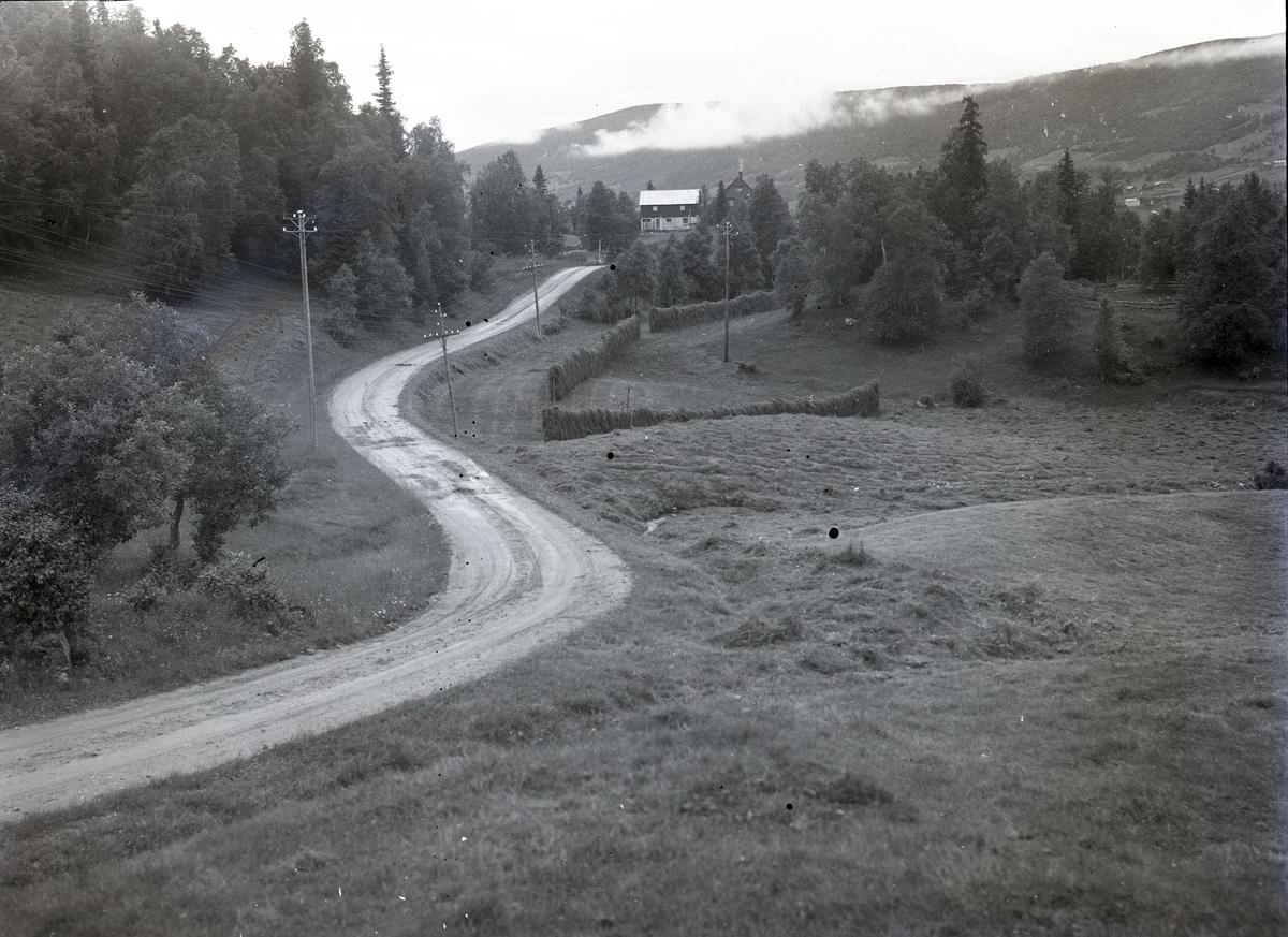 Foto av: bilen (utside og innside), veien med politi til stede, skog, åstedundersøking(?) ved et vann, utenfor en gård med politi og biler. Fra en overfallssak der to svensker visstnok var overfalt og drept, men det viste seg senere at den ene overfalt den andre. Etterforskningen ble utført av politifullmektig Hoel ved Uttrøndelag politikammer og politibetjent Dragvold ved Trondheim politikammer.