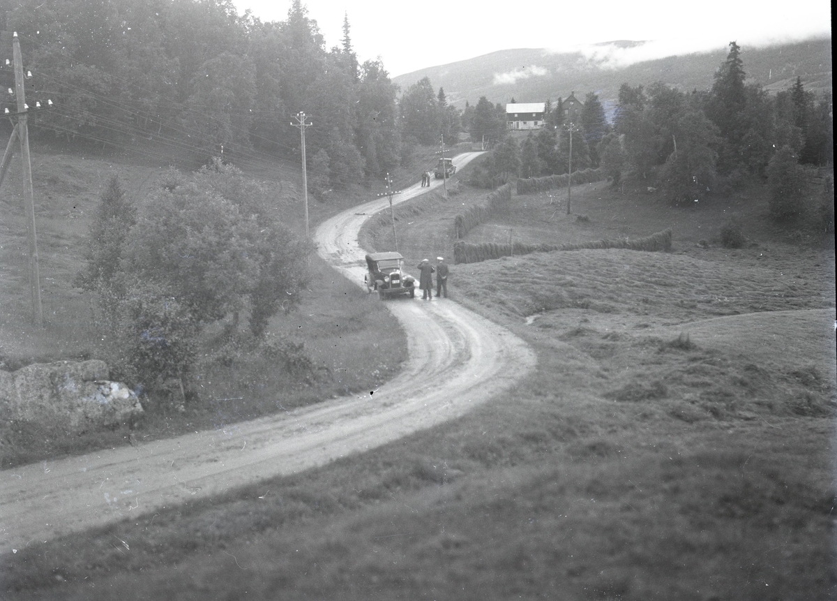 Foto av: bilen (utside og innside), veien med politi til stede, skog, åstedundersøking(?) ved et vann, utenfor en gård med politi og biler. Fra en overfallssak der to svensker visstnok var overfalt og drept, men det viste seg senere at den ene overfalt den andre. Etterforskningen ble utført av politifullmektig Hoel ved Uttrøndelag politikammer og politibetjent Dragvold ved Trondheim politikammer.