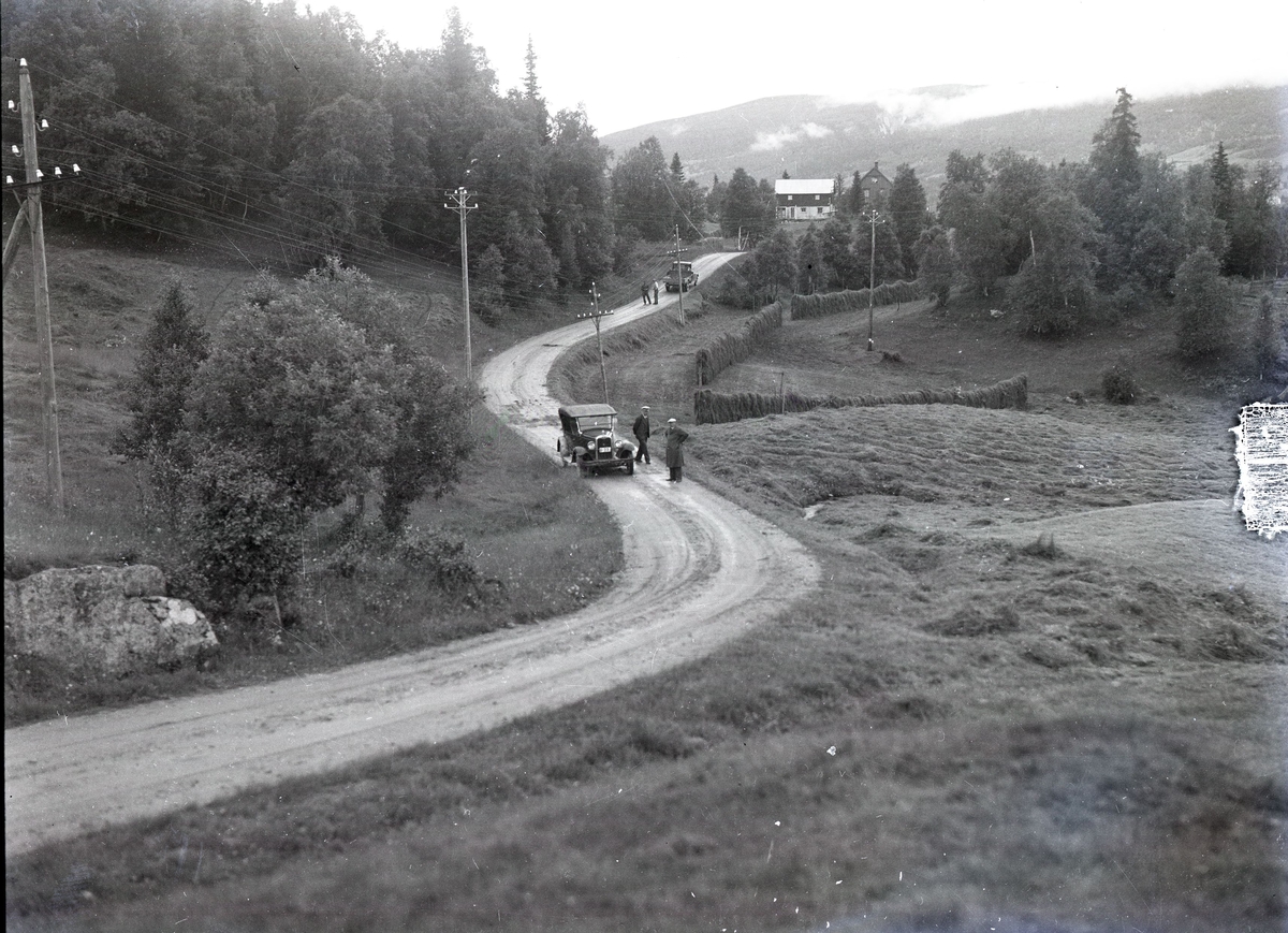 Foto av: bilen (utside og innside), veien med politi til stede, skog, åstedundersøking(?) ved et vann, utenfor en gård med politi og biler. Fra en overfallssak der to svensker visstnok var overfalt og drept, men det viste seg senere at den ene overfalt den andre. Etterforskningen ble utført av politifullmektig Hoel ved Uttrøndelag politikammer og politibetjent Dragvold ved Trondheim politikammer.