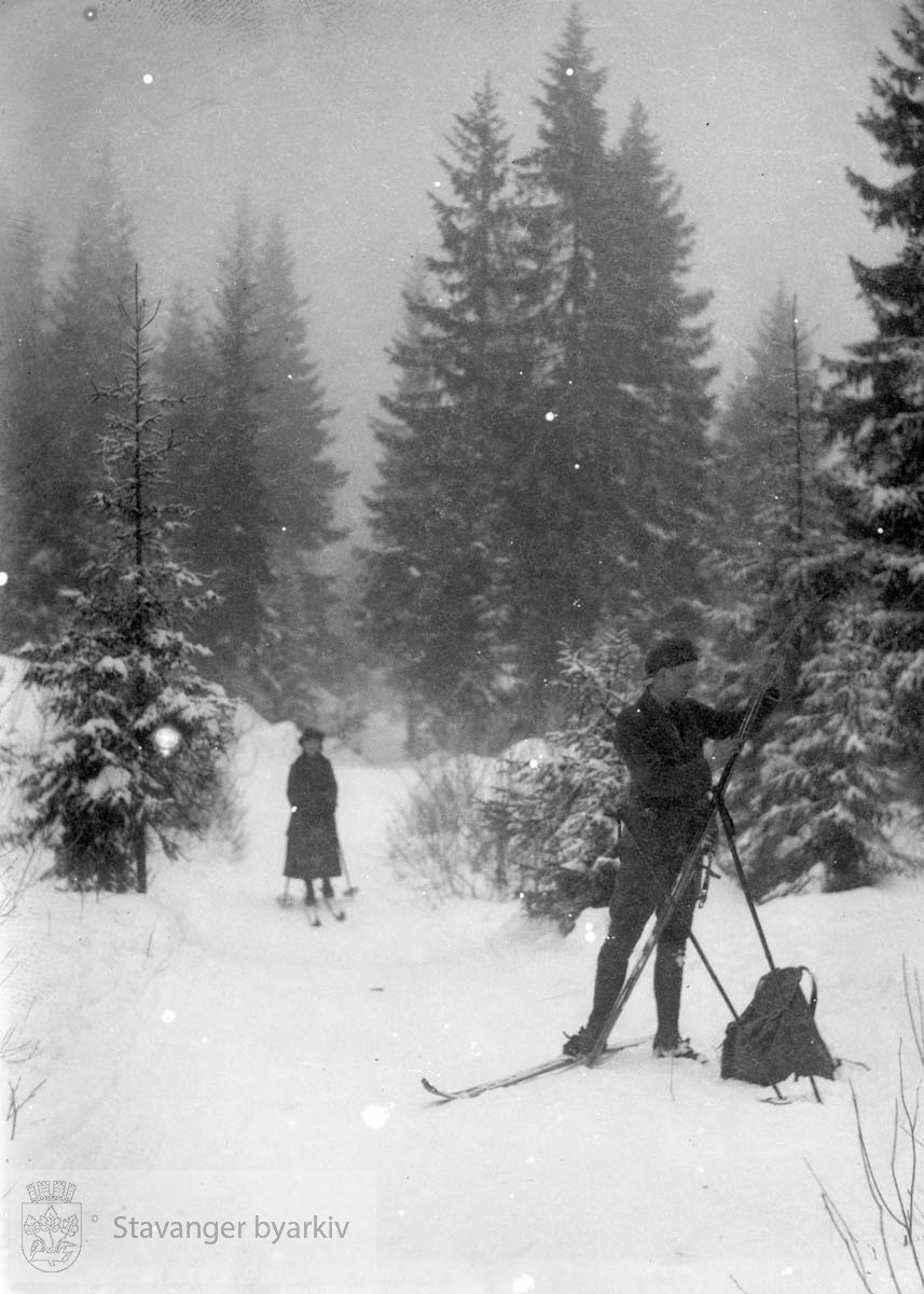 Skitur i skogen