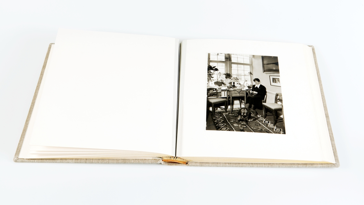 Album med förvaringslåda. Albumet innehåller främst interiörbilder från Kraemerska huset i Uppsala.

På första uppslaget kan läsas följande: "Till vår kära dotter Birgit som minne av lyckliga barndoms och ungdoms år i " von Kraemerska huset". Julafton 1939. Anna Haeggström Carl Z Haeggström.