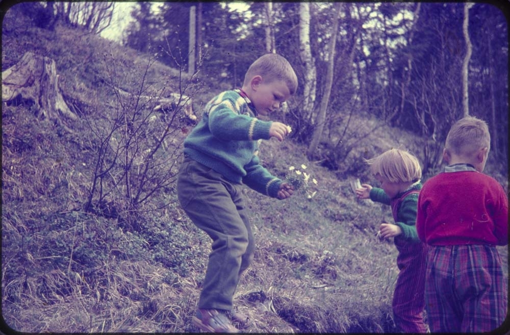 Kippermoen barnepark, 1961-62. Barn som plukker blomster.