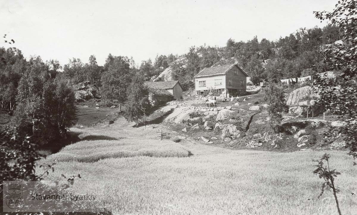 Ukjent gård med familie og hest oppstilt foran