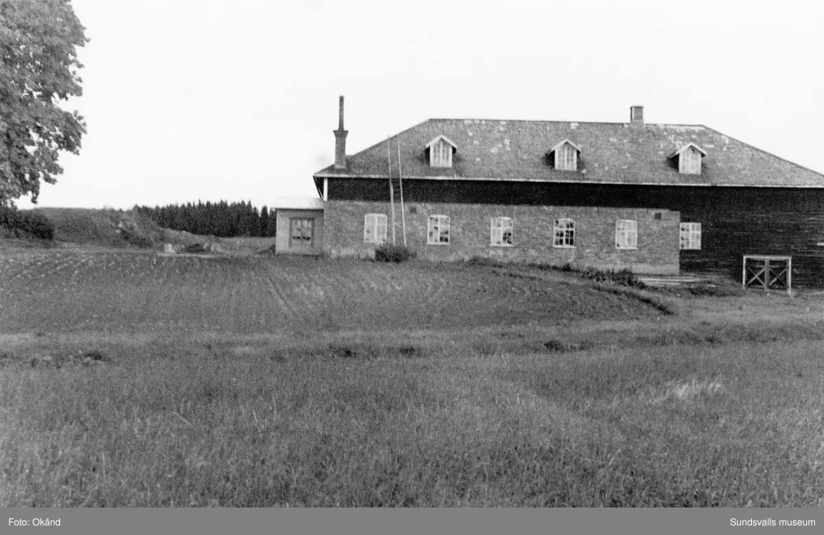 Exteriörer från Bergsåkers gård. Fotografier hämtade ur album från gården.
