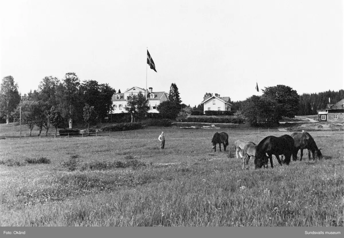 Exteriörer från Bergsåkers gård. Fotografier hämtade ur album från gården.