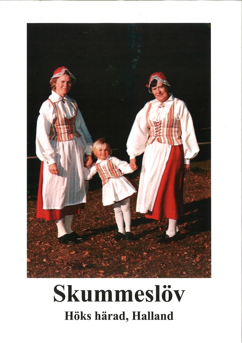 Skummeslöv folkdräkt från Halland