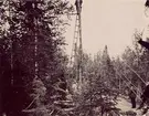 Telefonnät och naturmotiv från Norrland omkr.1900. Linjearbete.