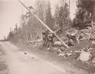 Ingenjörskursen i Norrland år 1903. Bispgården och Östavall.