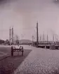 Telefonnät, troligen i Malmö år 1890.