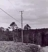 Sambyggnad med El-nät 1960.