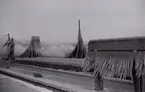 Vättern i vrede. Storm och isbeläggningens skadegörelse av det stora blanktrådsstråket som gick utmed järnvägen Jönköping - Falköping. Årsskiftet 1928-29.