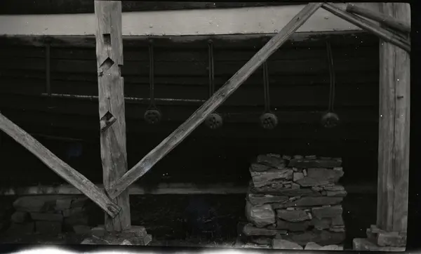 Nordfjordjekti (Holvikjekti) påtenkja med doshovudi (=jomfru