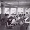 Interiör från den manuella delen av en telefonstation (riksavdelningen) år 1953.