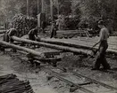 Björkhult Impregneringsanstalten. Bilden visar hur stolparna läggs på sina banor sedan de körts upp från vattnet på trallvagnarna.