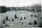 Badelunda sn, Anundshögsområdet, Långby.
Skeppssättningar vid Anundshög.